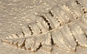 Эксклюзивные кованые перила для шикарной лестницы Код: ЛП-0156/29